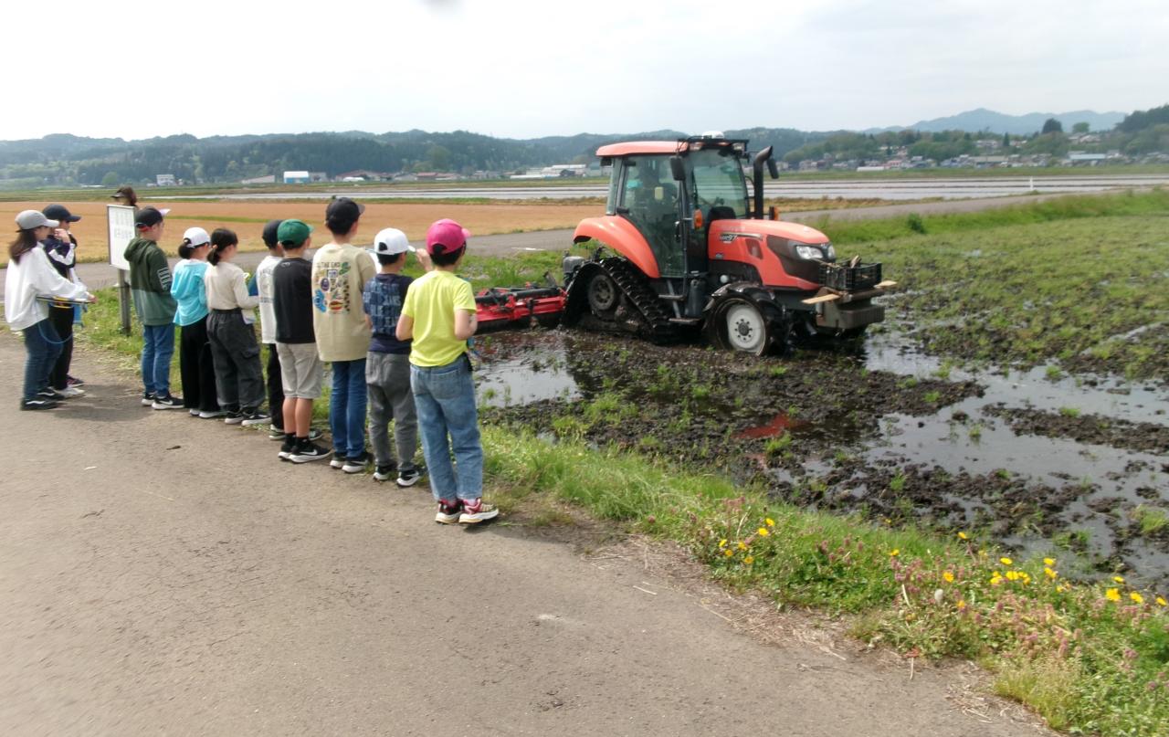 綴子小学校５年生が代かきのようすを見学しています。
